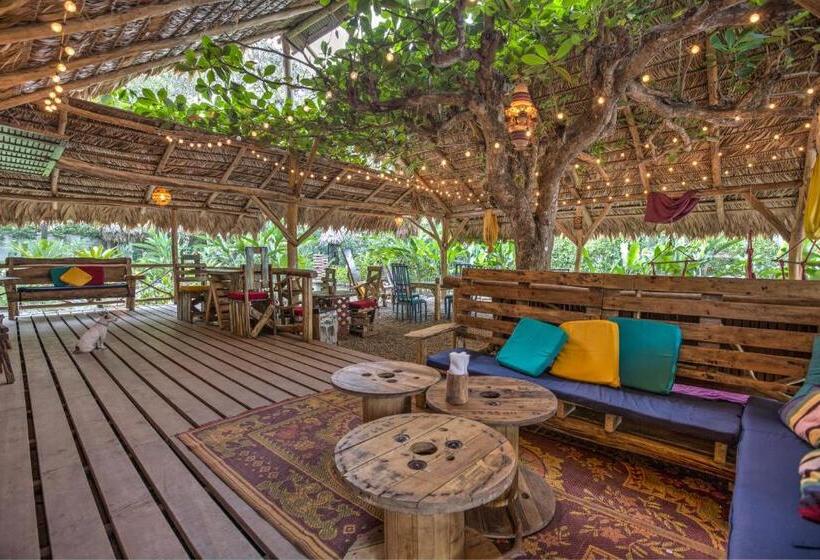 기본 룸 공용 욕실, Playa 506 Beachfront Hostel