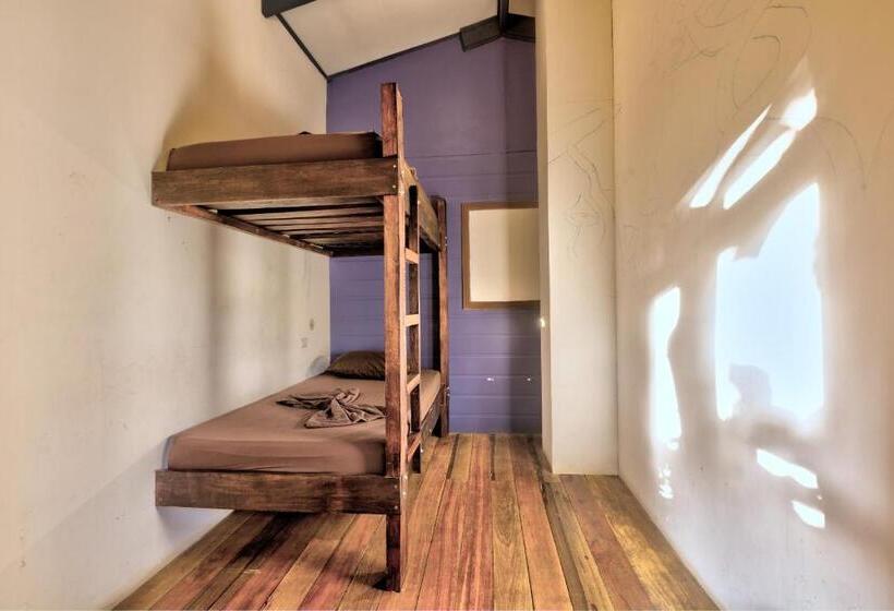 스탠다드 룸 공동 욕실, Playa 506 Beachfront Hostel