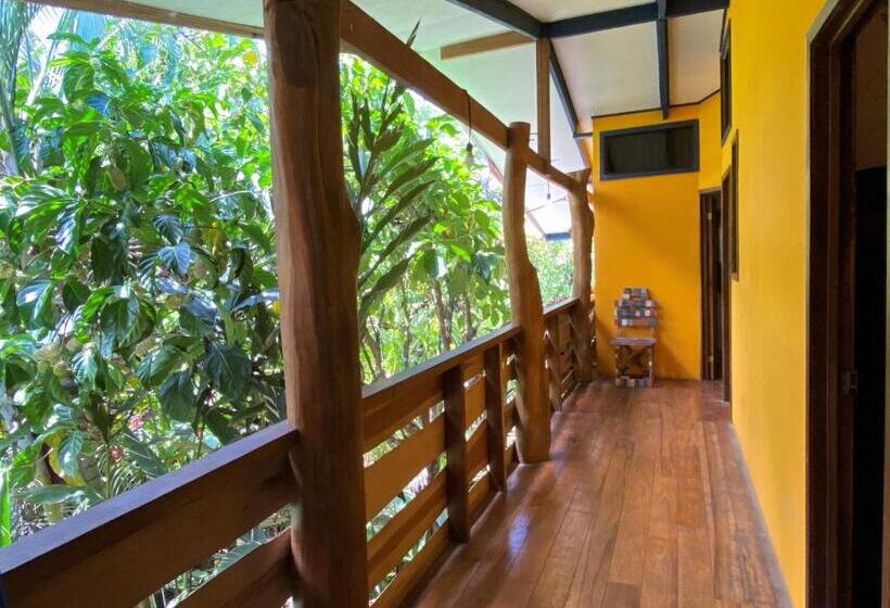 스탠다드 룸 공동 욕실, Playa 506 Beachfront Hostel