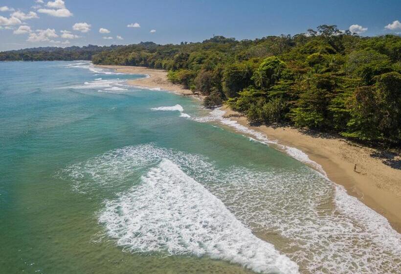 스탠다드 룸 공동 욕실, Playa 506 Beachfront Hostel