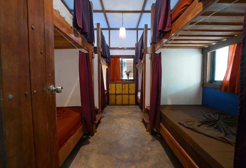 Кровать в Многоместном Номере с Общей Ванной, Playa 506 Beachfront Hostel