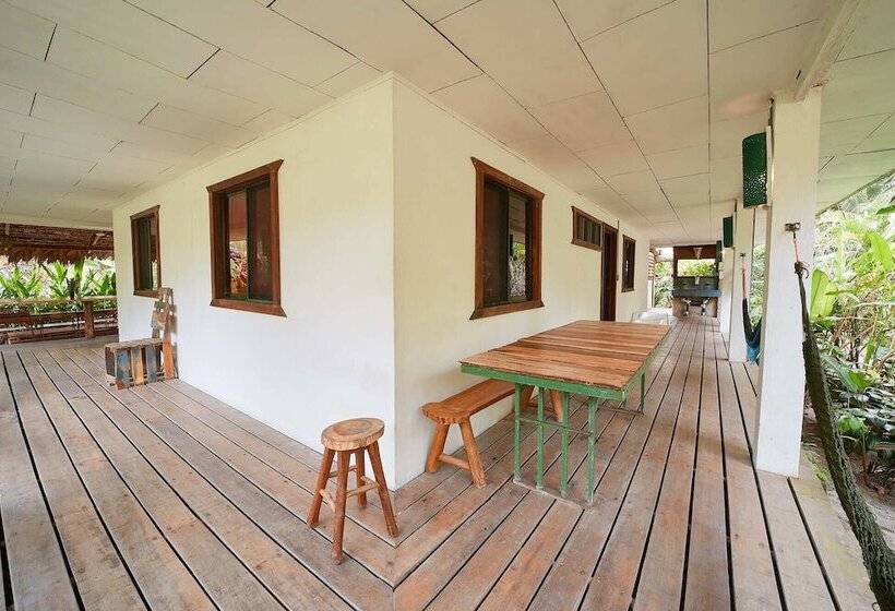 공용 욕실 구비 공동 객실 내의 침대, Playa 506 Beachfront Hostel