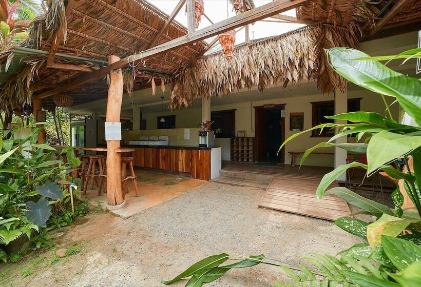Кровать в Многоместном Номере с Общей Ванной, Playa 506 Beachfront Hostel