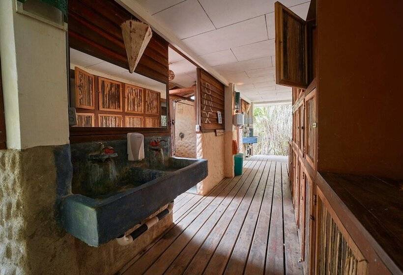 Кровать в Многоместном Номере с Общей Ванной, Playa 506 Beachfront Hostel