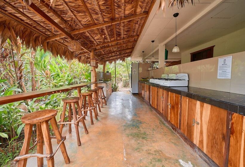 장애인용 디럭스룸, Playa 506 Beachfront Hostel