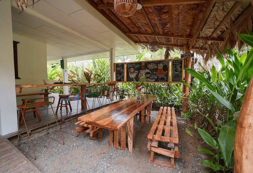 장애인용 디럭스룸, Playa 506 Beachfront Hostel