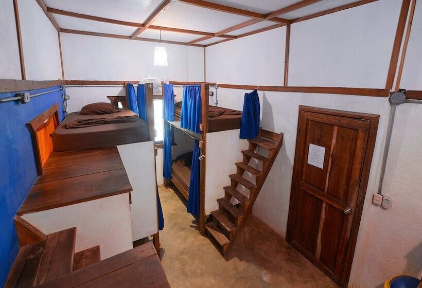 공용 욕실 구비 공동 객실 내의 침대, Playa 506 Beachfront Hostel