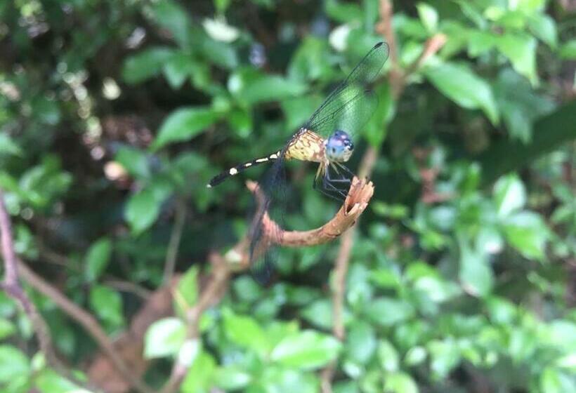 标准间, Cariari Bed & Breakfast