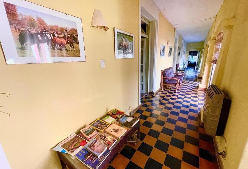 منزل 3 غرف نوم, Areco Hospedaje