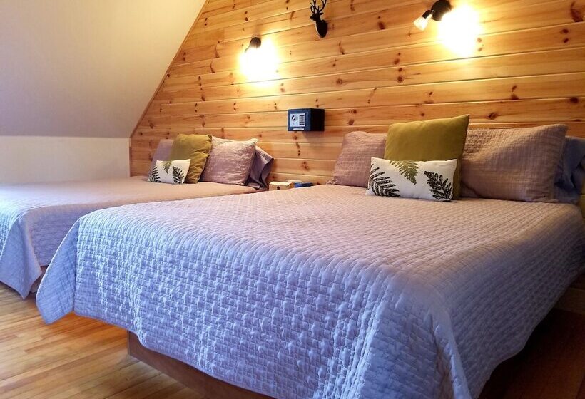 חדר סטנדרט חדר אמבטיה משותף, Auberge Le P Tit Bonheur   Hostel