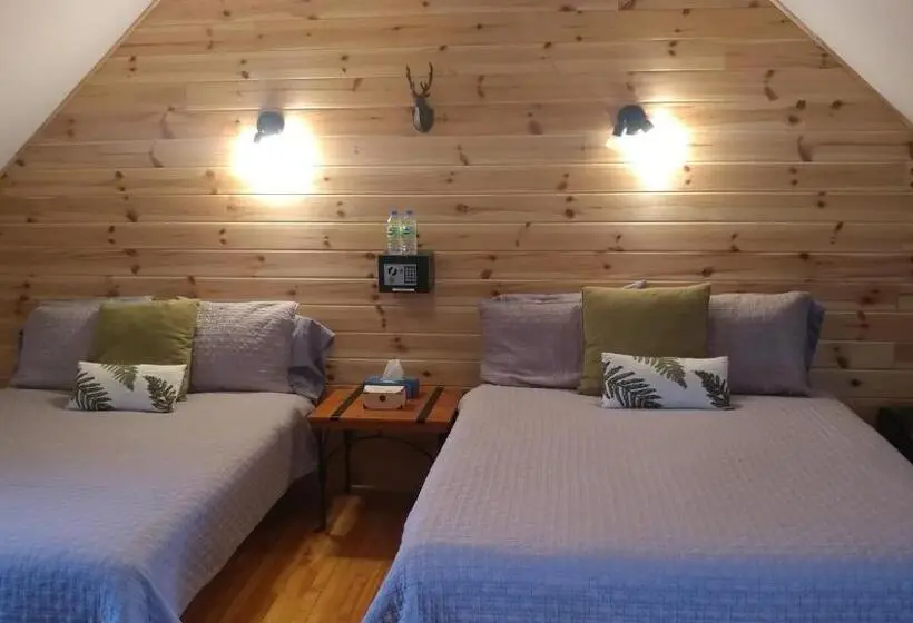 バス共有のスタンダードルーム, Auberge Le P Tit Bonheur   Hostel