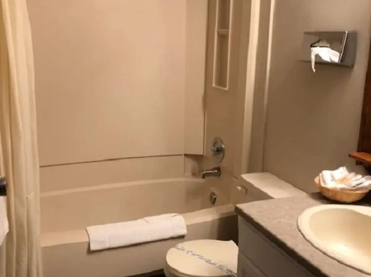 اتاق استاندارد با 2 تخت دوبل, Capri Motor Inn