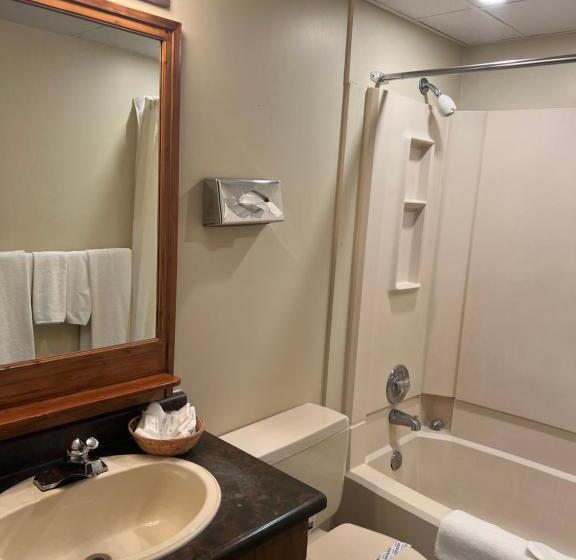 غرفة قياسية, Capri Motor Inn