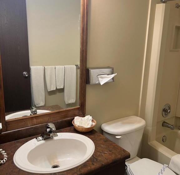 标准间, Capri Motor Inn