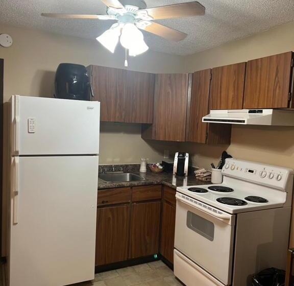 إستوديو ديلوكس, Capri Motor Inn