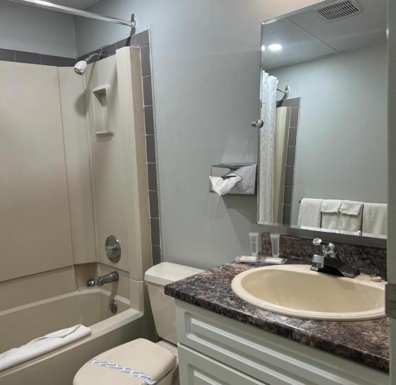 标准间, Capri Motor Inn
