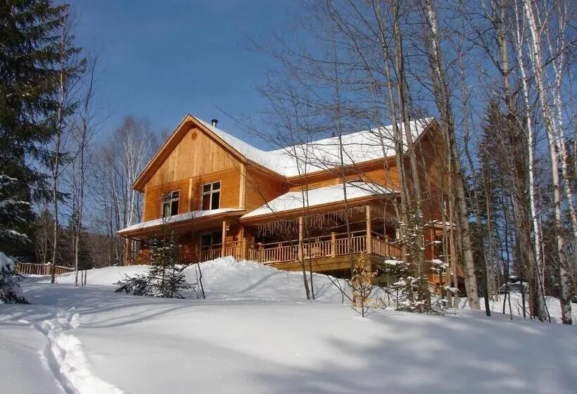 デラックストリプルルーム, Escale Du Nord