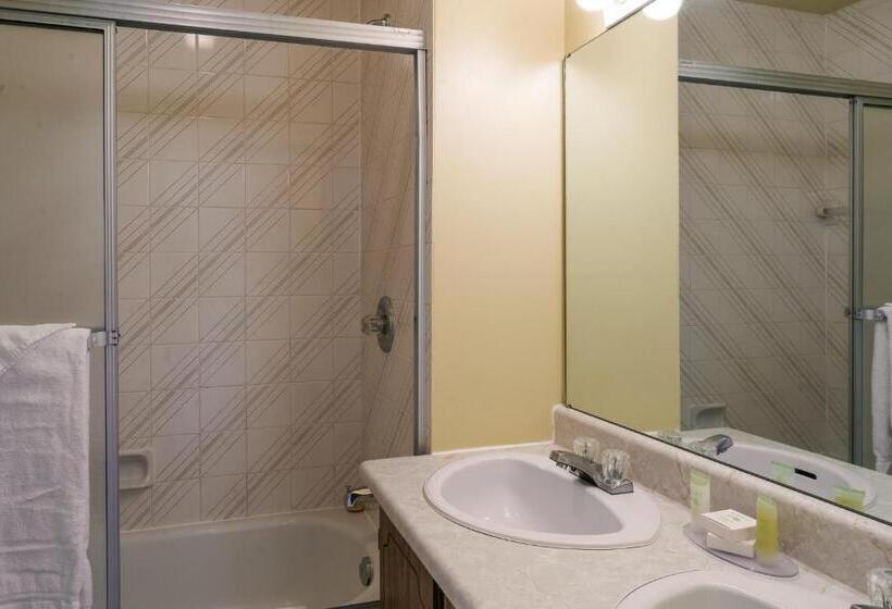 Номер Стандарт Вид на Горы, Mont Blanc Hôtel & Condos