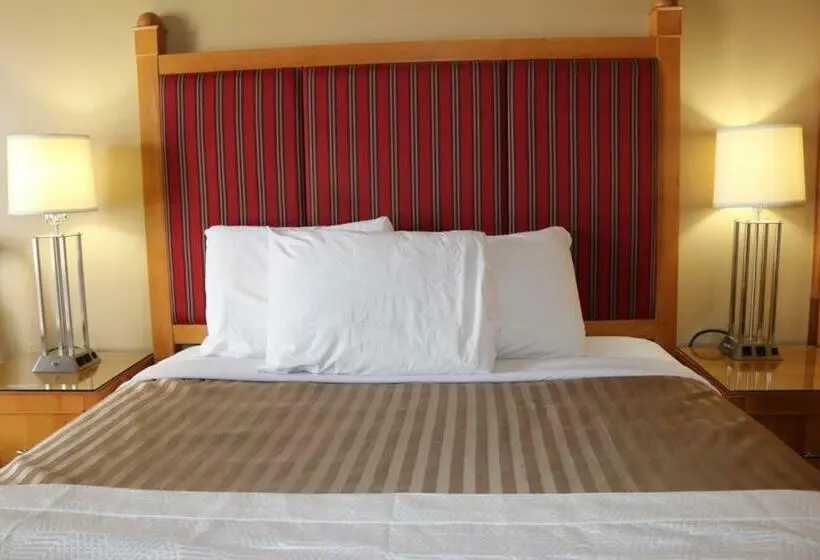 اتاق استاندارد, Plaza Motel