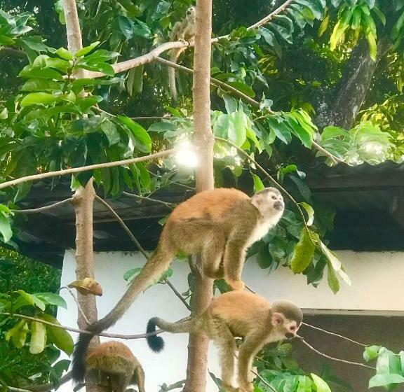 带1个卧室的别墅, Condiminium Villas Mymosa