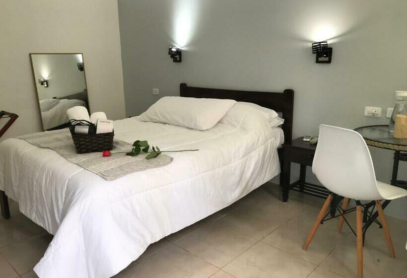 غرفة قياسية, Cactus