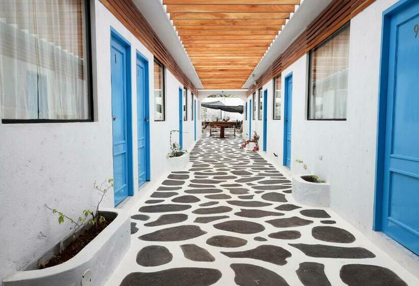 غرفة ديلوكس, Cactus