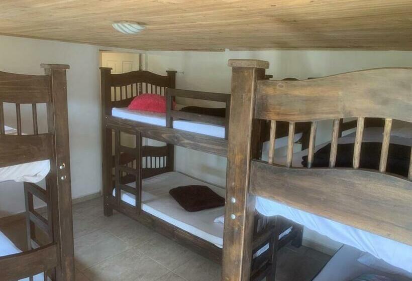 ルームシェアのワンベッド, Hostal Hilltop Salento