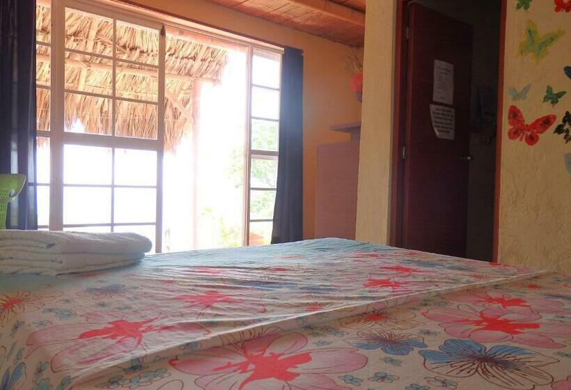 اتاق لوکس, Hostal Casa Horizonte