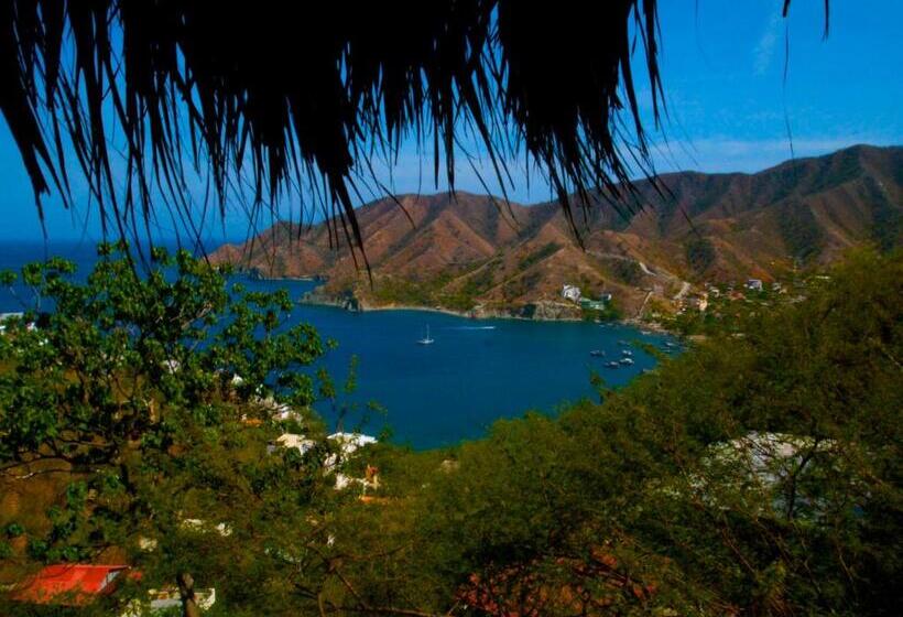 تختخواب در اتاق مشترک, Hostal Casa Horizonte