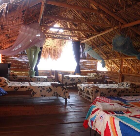 تختخواب در اتاق مشترک, Hostal Casa Horizonte