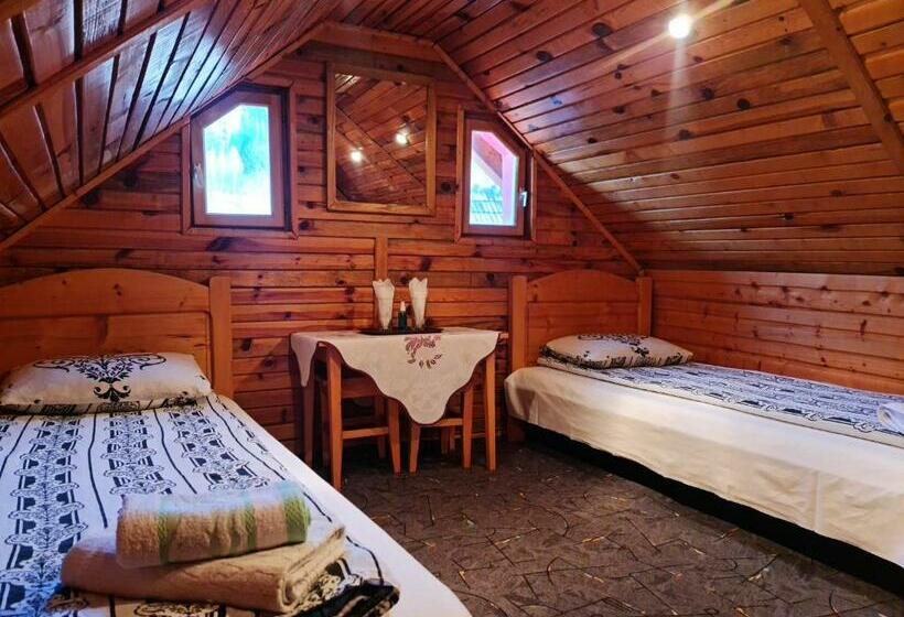 スタンダードルーム, Pensiunea Neba