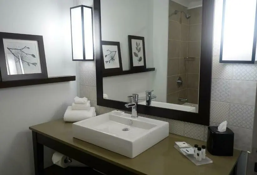 Standard-huone King-vuode, Country Inn & Suites By Radisson, Belleville, On