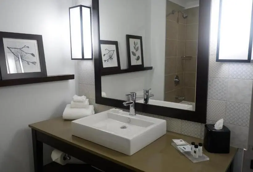 Sviitti King-vuode, Country Inn & Suites By Radisson, Belleville, On