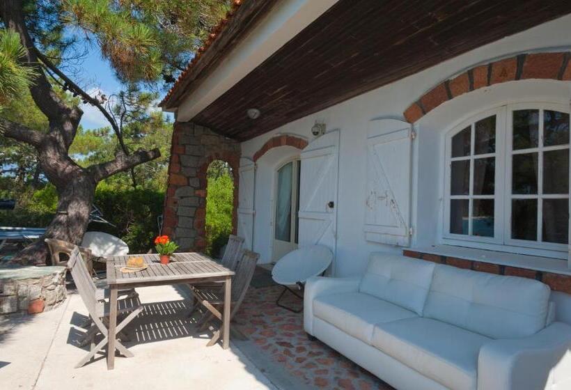 ‫فيلا غرفة نوم واحدة, Domaine De Caranella