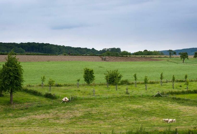 اتاق استاندارد, Eperland