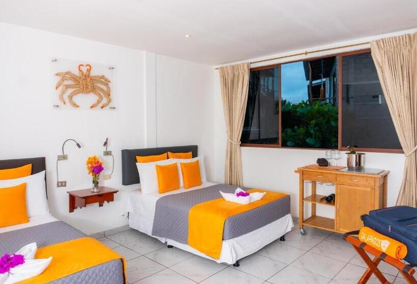 Quarto Estandar Interior, La Zayapa