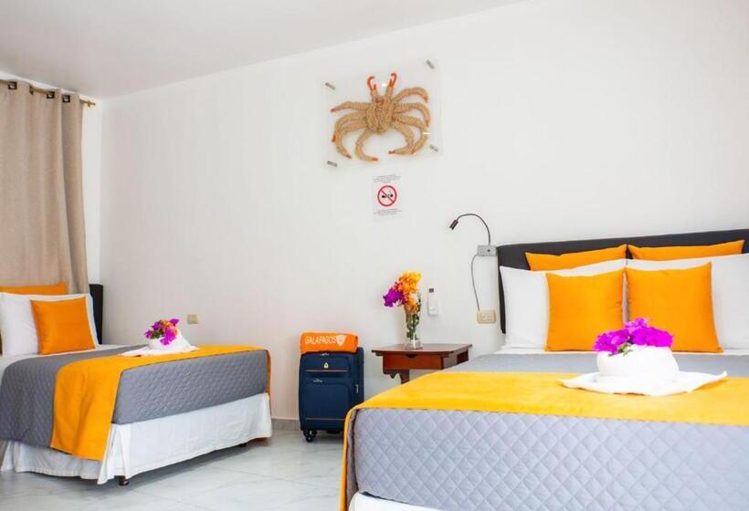 Standart İç Oda, La Zayapa