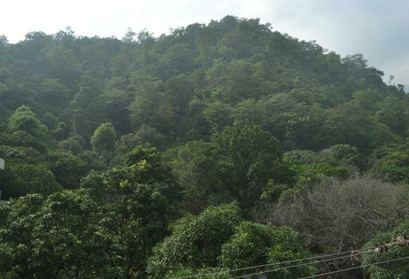 Standardrum, Mount Valley Mama Cottage