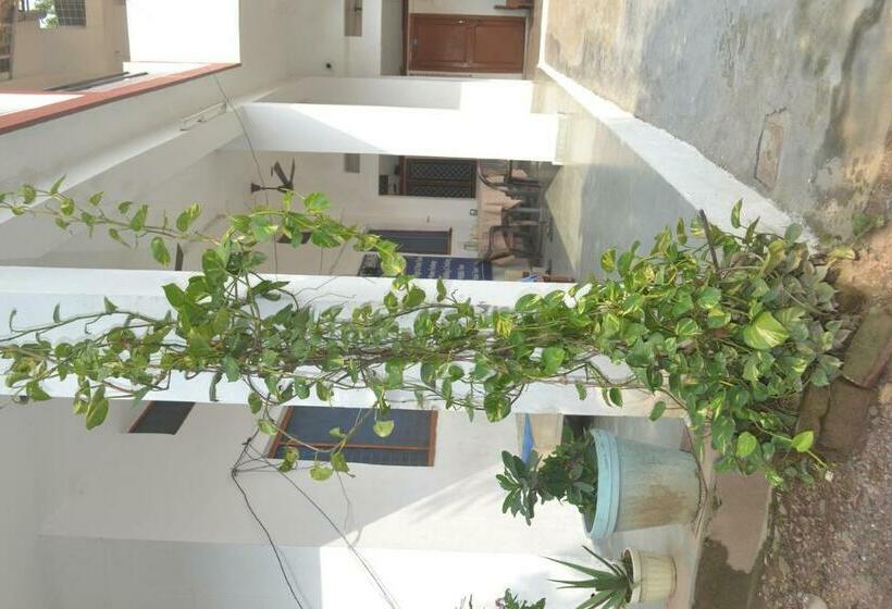 Standardrum, Mount Valley Mama Cottage