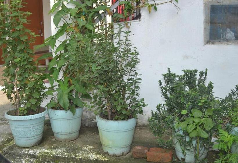 Deluxe Rum, Mount Valley Mama Cottage