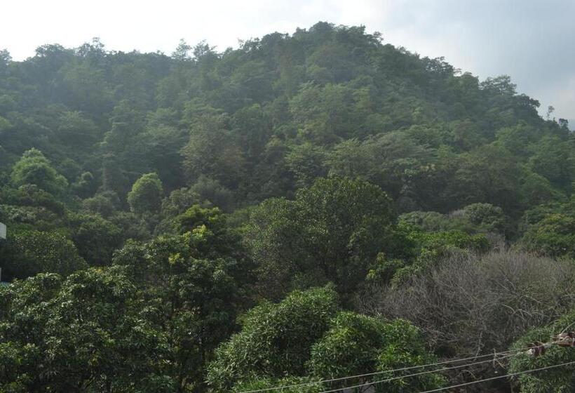 Deluxe Rum, Mount Valley Mama Cottage