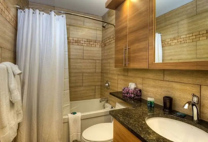 Premium-sviitti 2 Makuuhuonetta, Western Hotel & Executive Suites