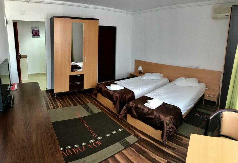 חדר סטודיו סטנדרד, Aparthotel Zorilor