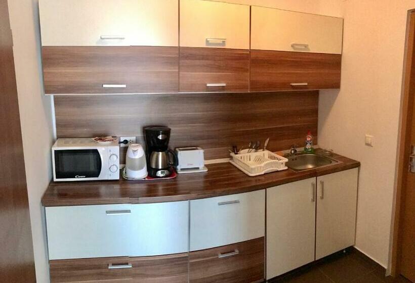 חדר סטודיו סטנדרד, Aparthotel Zorilor