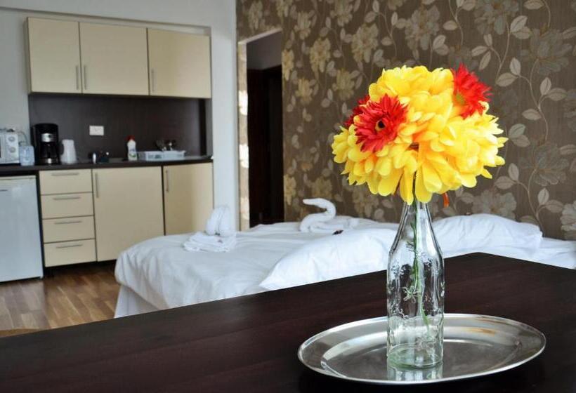 דירת חדר, Aparthotel Zorilor