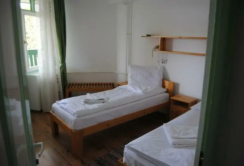 Standaardkamer met Balkon, Hostel Teleki