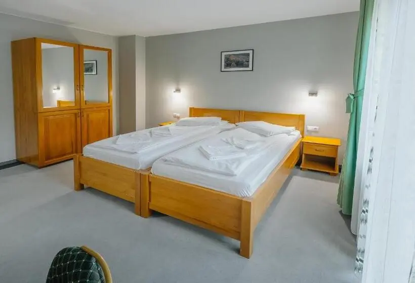 Superior Szoba, Hostel Teleki