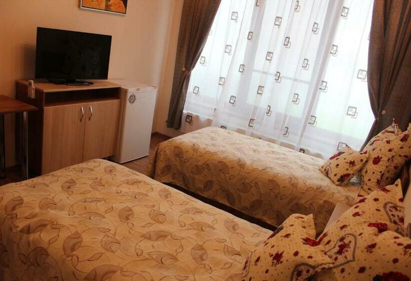 غرفة قياسية, Camere Apartament Steyna