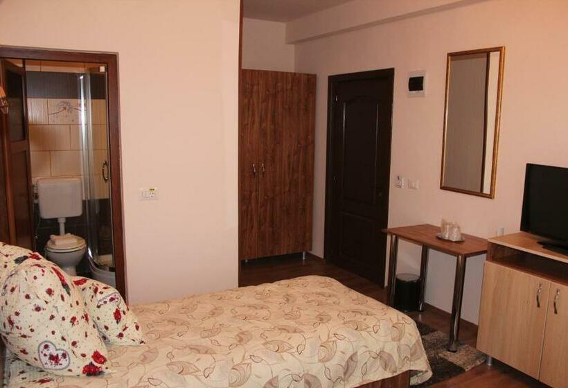 غرفة قياسية, Camere Apartament Steyna