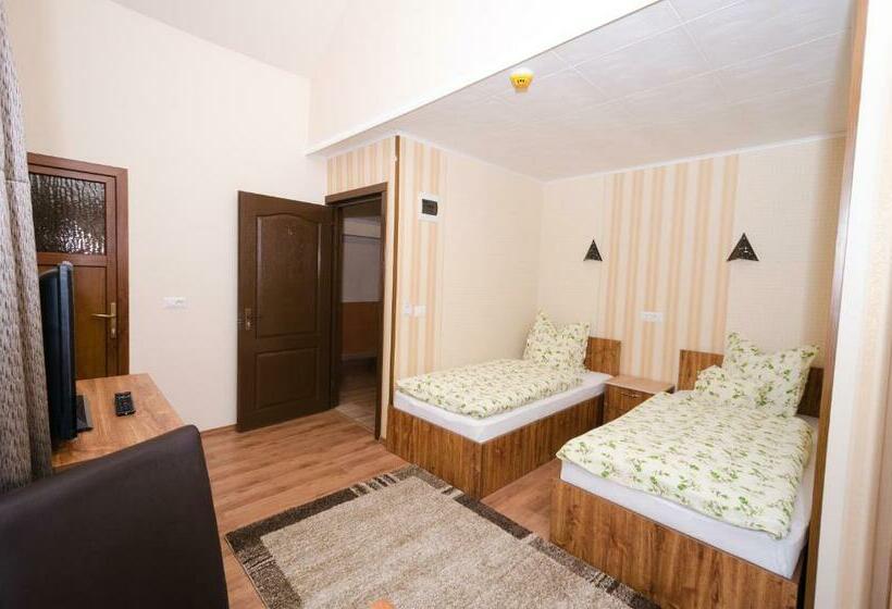 غرفة قياسية, Camere Apartament Steyna
